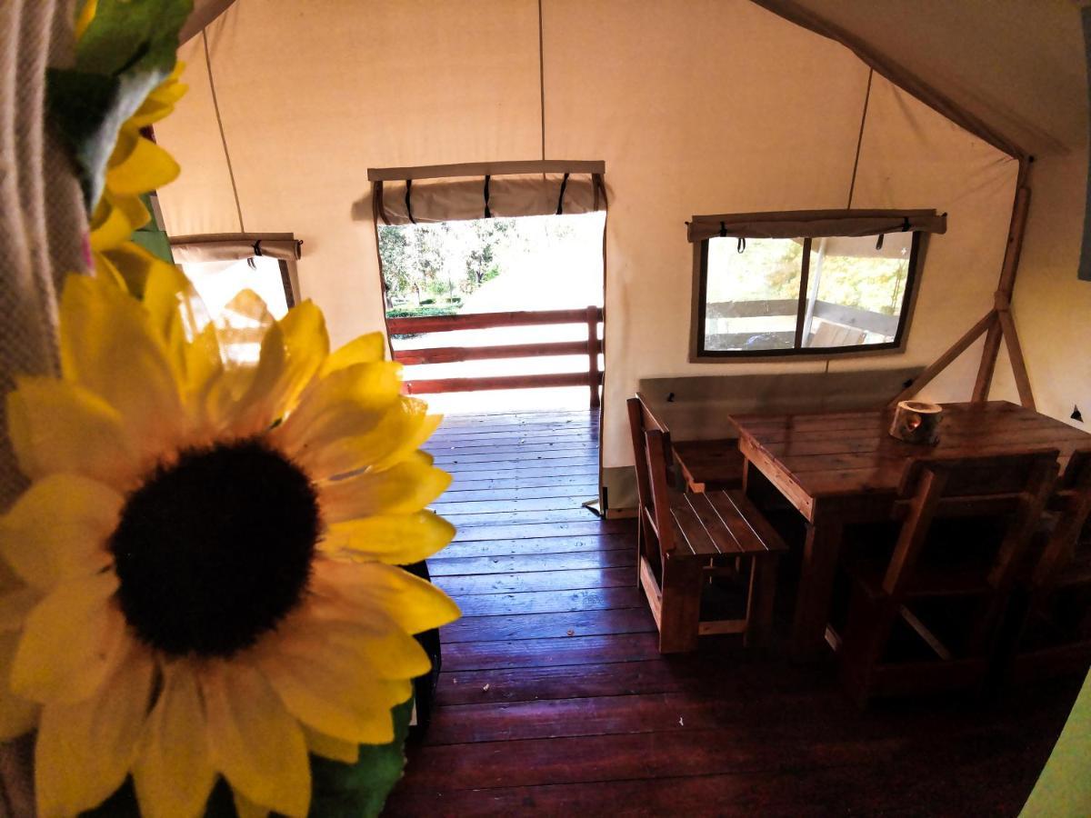 Sunflower Camping Mareda エクステリア 写真